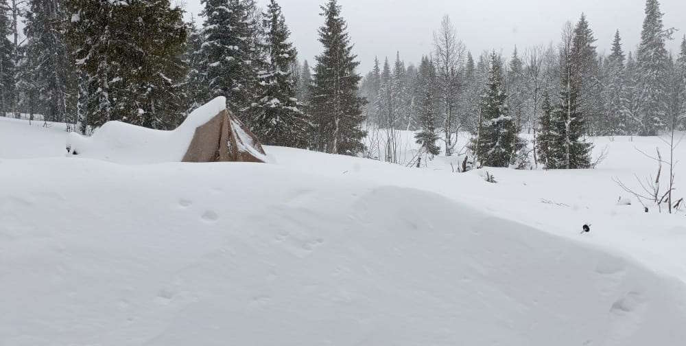 В заповеднике «Вишерский» сегодня выпало 25 сантиметров снега