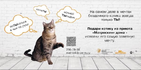 В Перми установили билборды с бездомными кошками