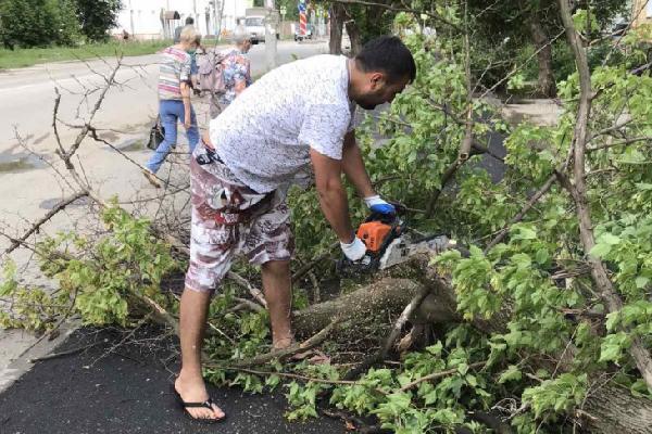 Гроза в Перми повредила 64 дерева