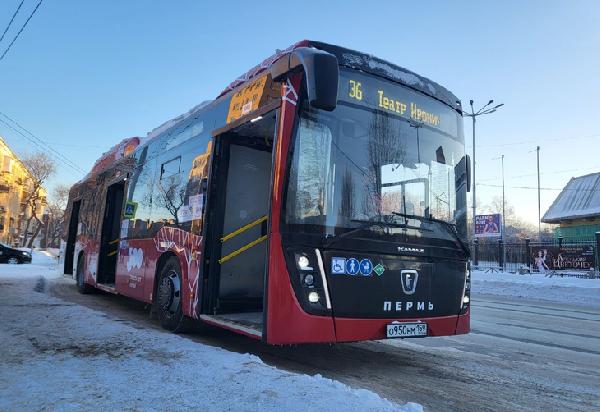 В Перми увеличится число автобусов с «тревожными» кнопками Росгвардии