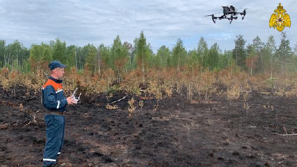 Лесной пожар в районе Краснокамска ликвидирован