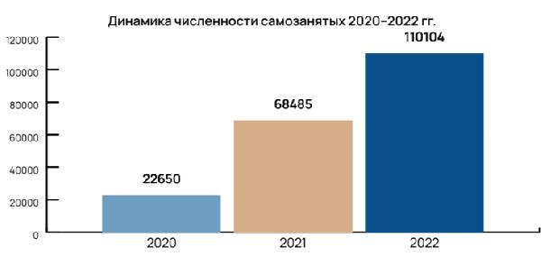 В 2022 году в Пермском крае значительно увеличилось число самозанятых