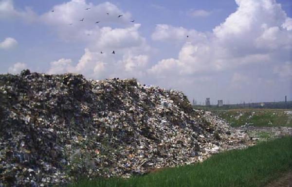 В Пермском районе со стихийной свалки вывезено 140 тонн мусора