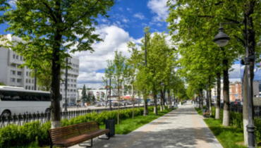 На Комсомольском проспекте будут заменены более 40 деревьев