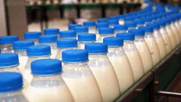 В Пермском крае производители молока готовятся к введению маркировки