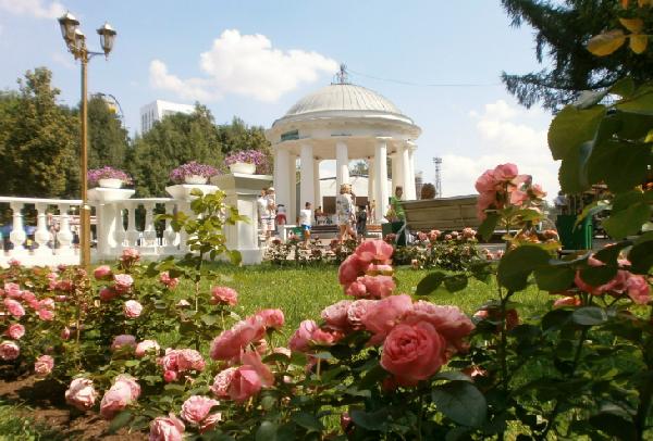 В парке Горького по выходным будут проходить бесплатные занятия по танцам