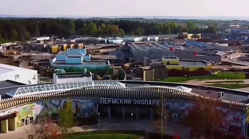 Плановый срок открытия зоопарка в Перми перенесли на лето 2025 года