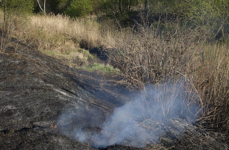 Пожароопасный сезон в лесах Пермском крае начнется с 17 апреля
