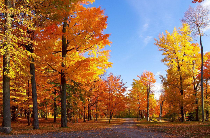 Сухой октябрь может повышать вероятность холодной зимы. 