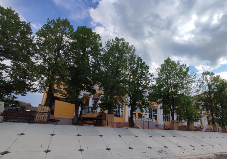 Липы у Речного вокзала пообещали сберечь