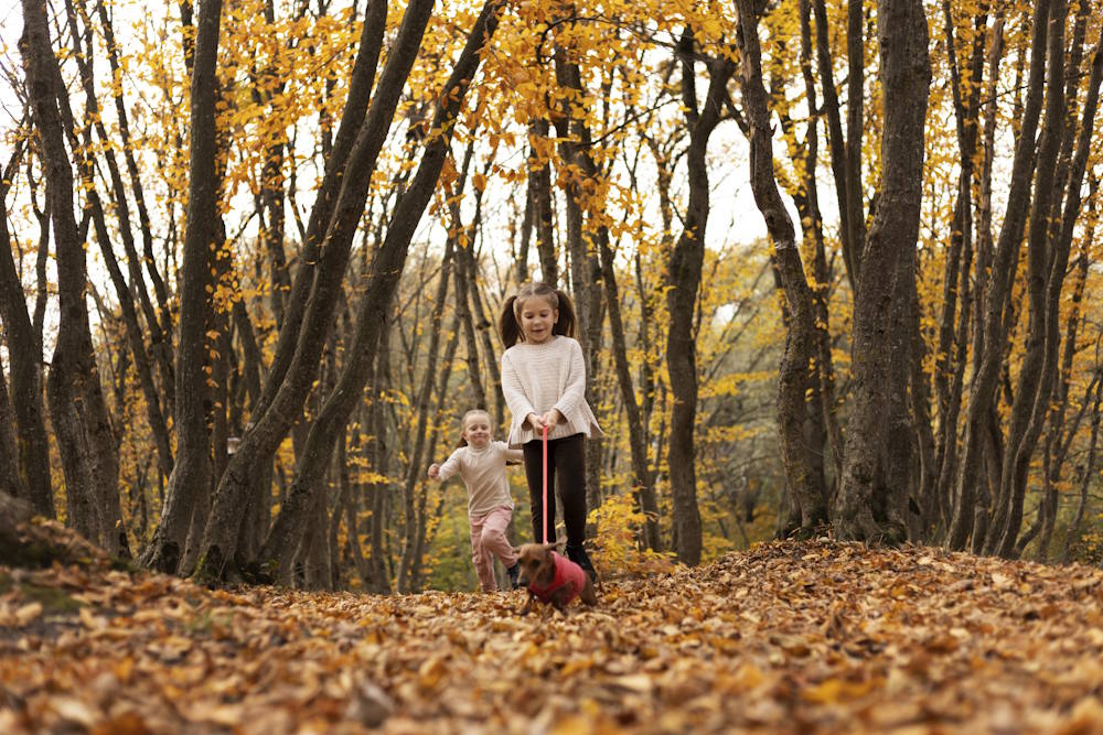 Похолодание в Пермском крае начнется 20 сентября
