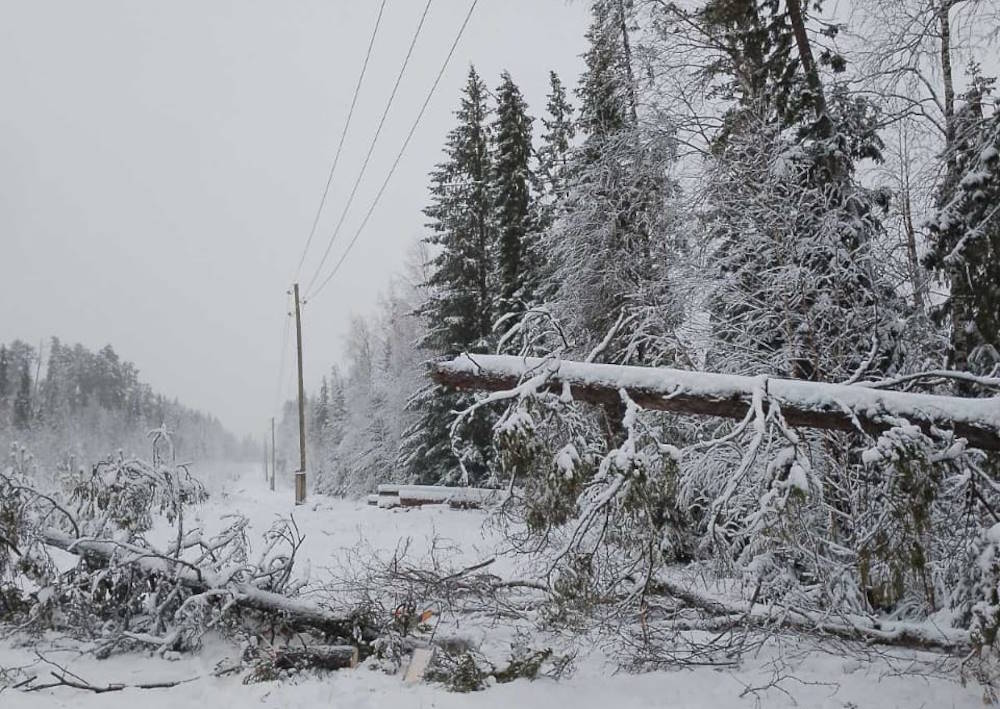 Работа на износ: пятые сутки энергетики работают над восстановлением электроснабжения водозабора «Извер»