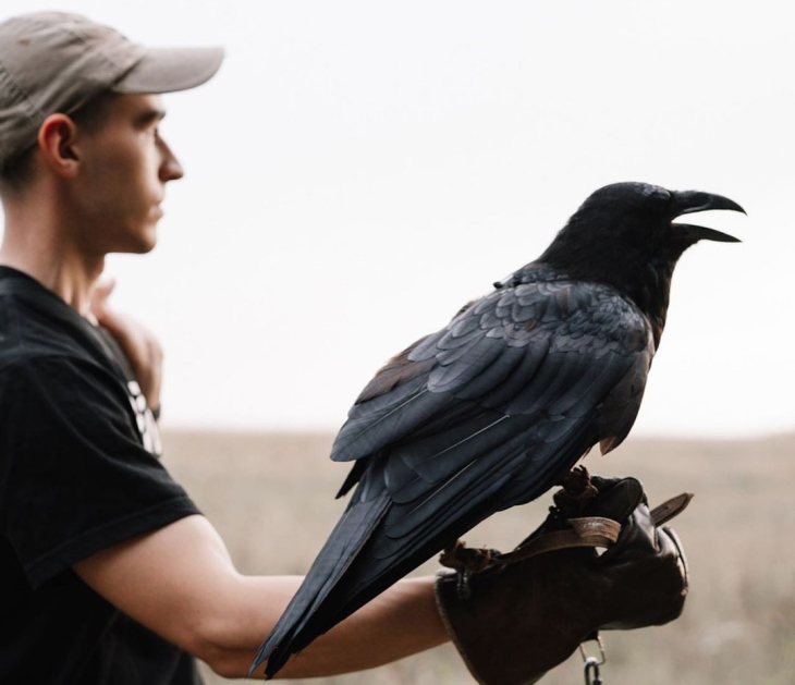 Как житель Лысьвы спас вороненка от гибели и сделал его популярным блогером в стране