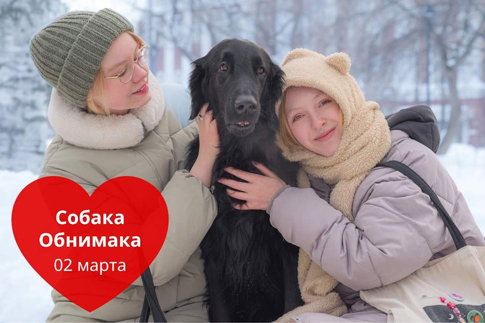 2 марта в центре Перми пройдет акция «Собака-Обнимака»