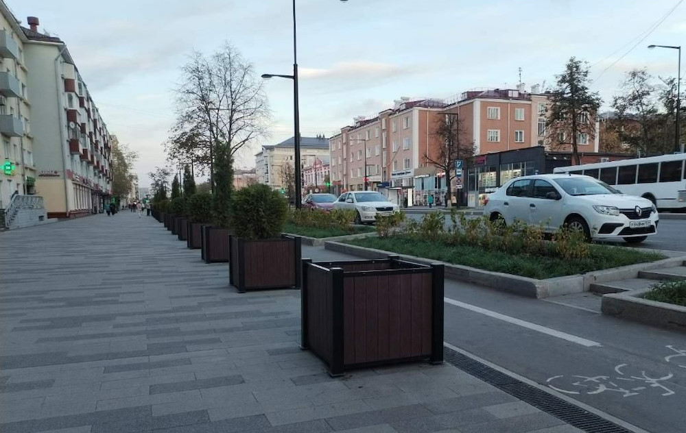 В Перми украли дерево из уличного кашпо
