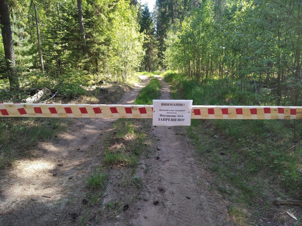 В Прикамье на трех территориях установлен наивысший класс пожарной опасности
