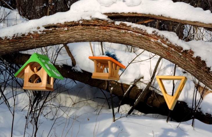 В Перми на малых реках появятся дизайнерские кормушки для птиц