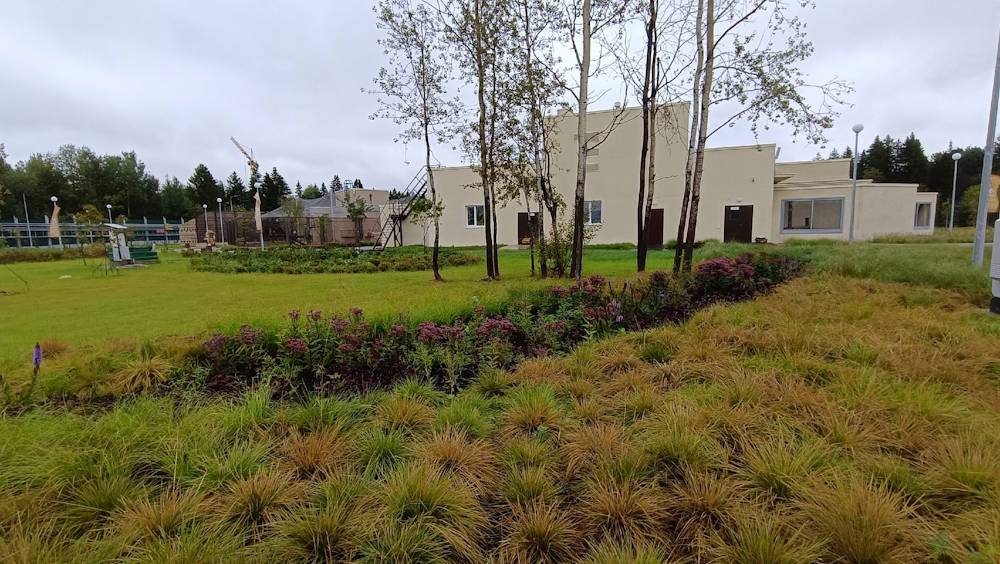 Ландшафтная изюминка: как в Перми озеленяли новый зоопарк, и какие редкие растения можно здесь увидеть