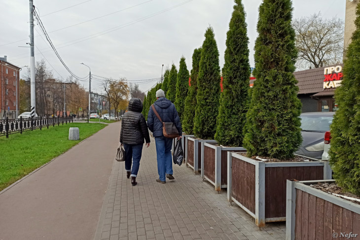 Мобильное озеленение 