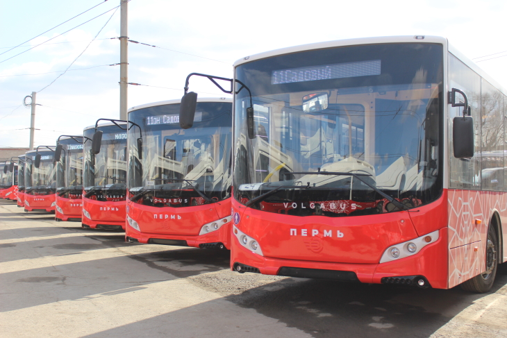 Весной город приобрел 65 дизельных и 20 газомоторных автобусов Volgabus. 