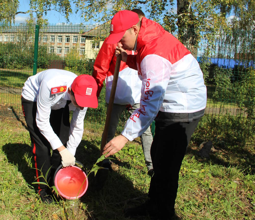 В Прикамье заложили 95 аллей в рамках лукойловской экоакции
