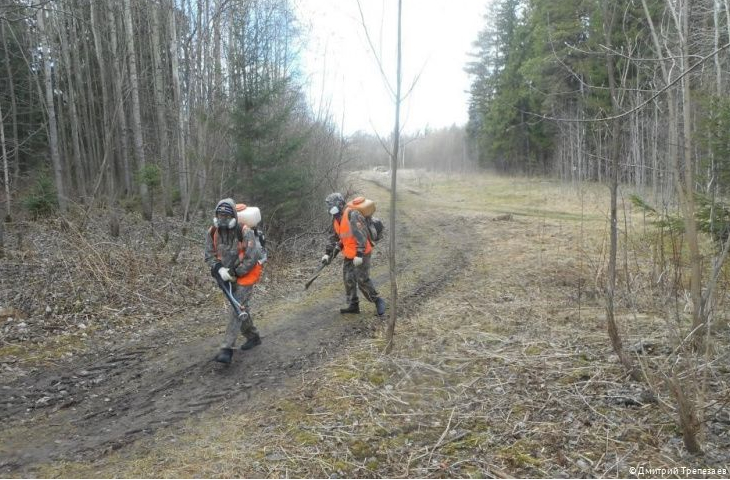 Сейчас идет обработка Черняевского леса. 