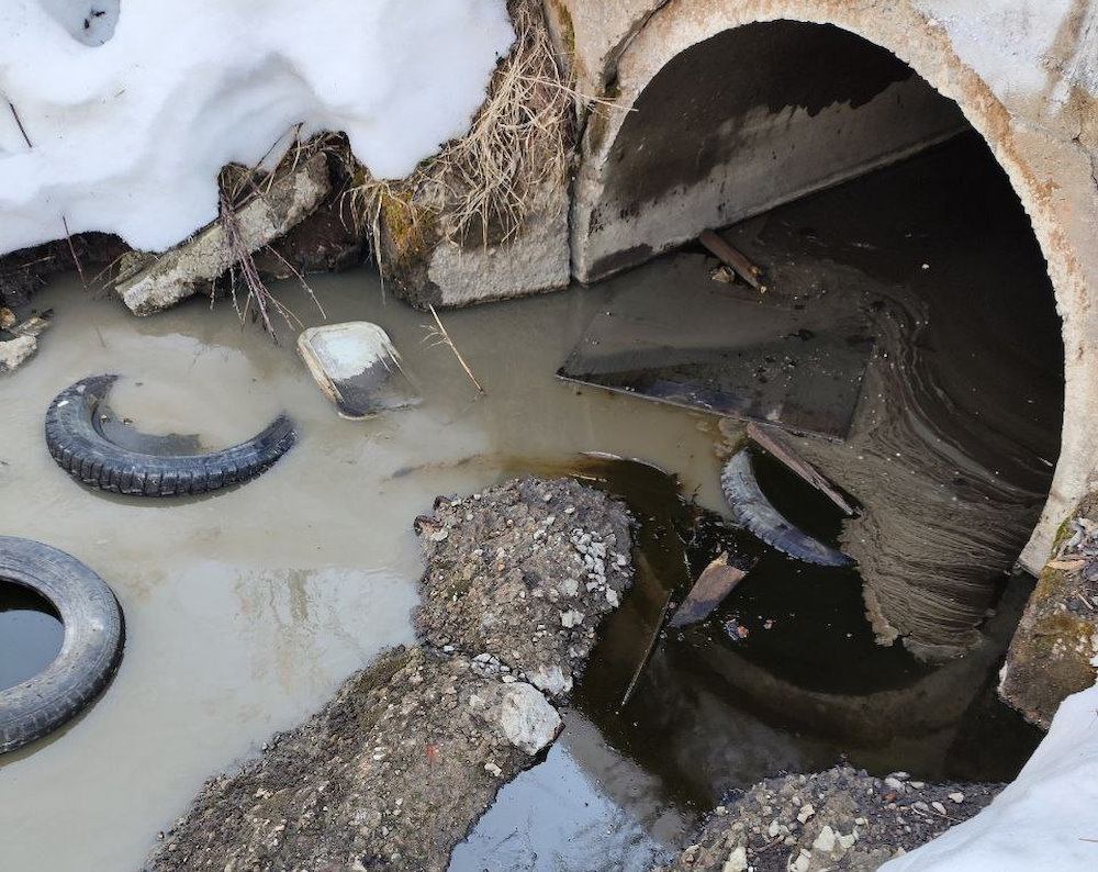В Перми экологи взяли пробы воды из реки, в которой погибли утки