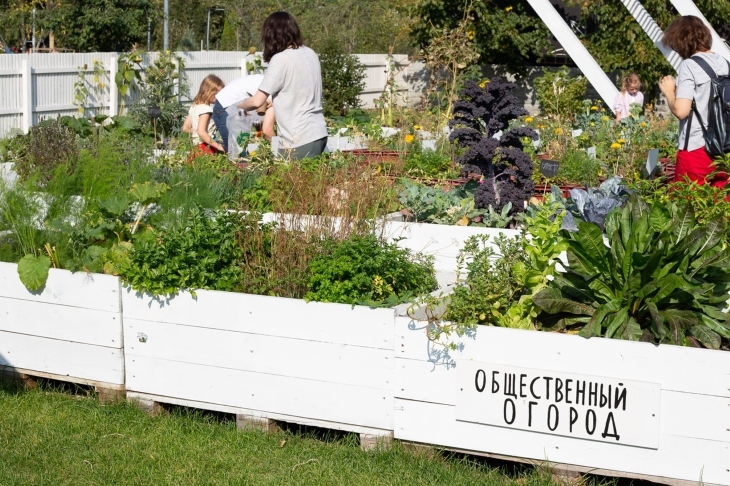 Общественный огород