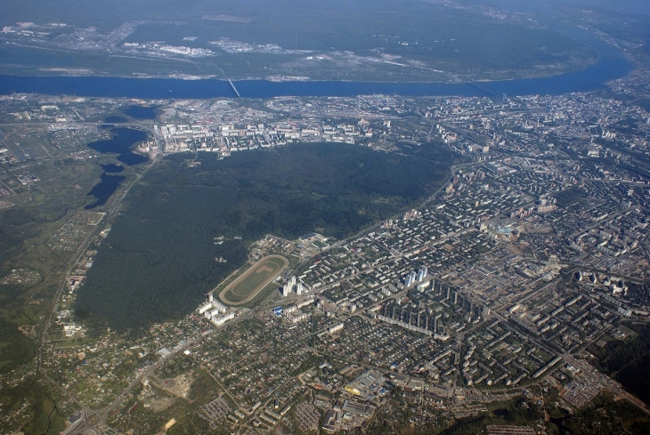 Черняевский лес