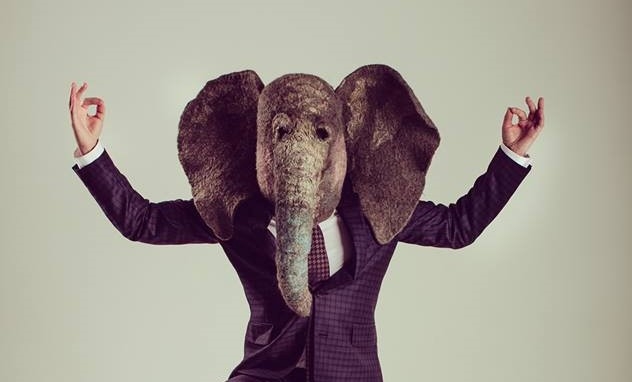 В октябре исполнился год, как человек с головой грустного слона создал в Инстаграме харизматичного героя — Пьяного Хобота.