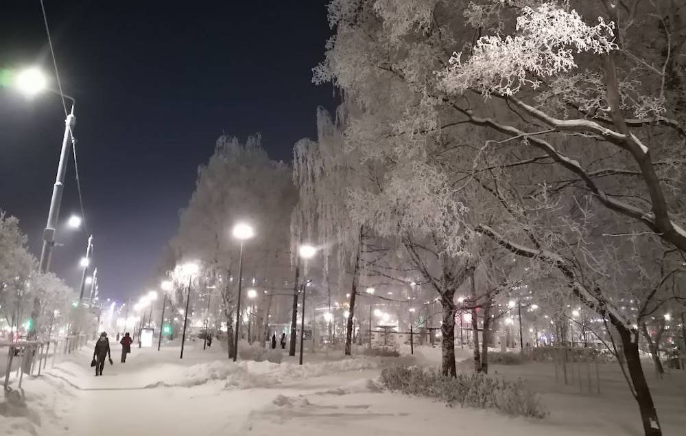 В Перми погода посеребрит деревья изморозью