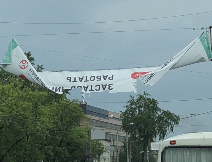 Что делать, если в вашем дворе упало дерево