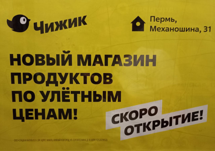 Чижик
