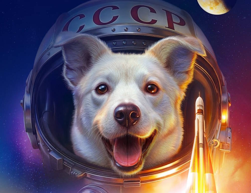 В апреле в прокат выйдет фильм о собаке Белке, снятый по сценарию пермяка