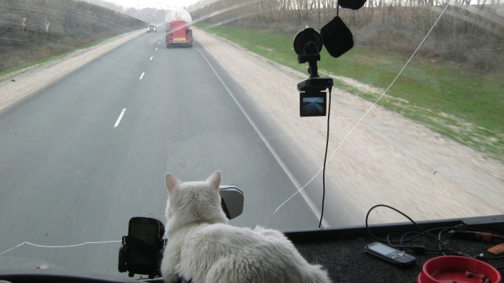 Как дальнобойщик из Березников ездит по стране с котом