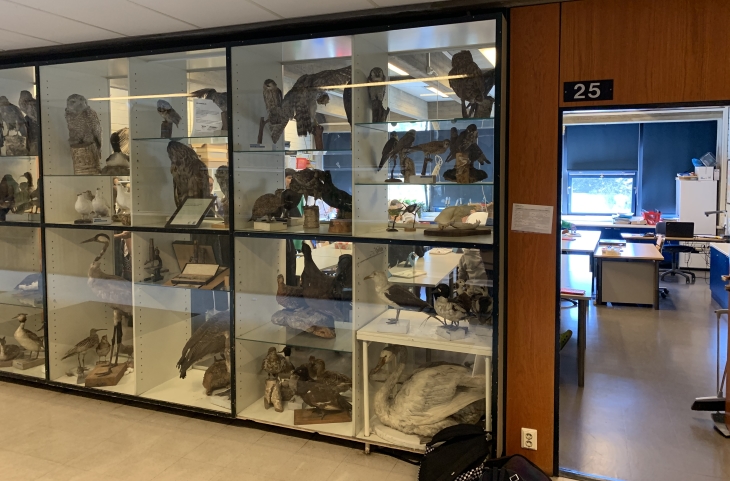 Класс биологии в финской школе