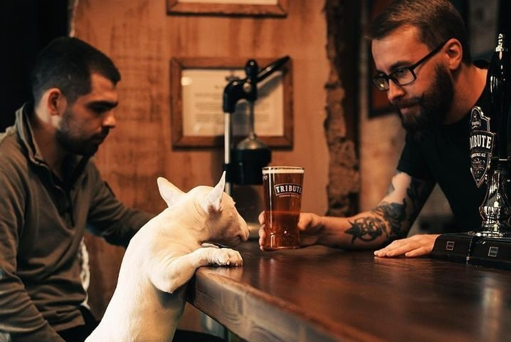 В пермских барах заканчивается пиво Guinness