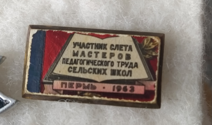 Новый онлайн-музей показывает, какие значки выпускали в советской Перми