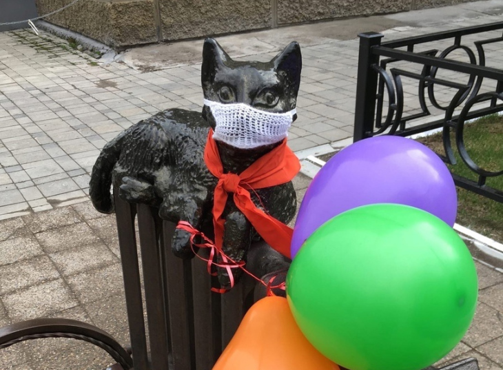 Как пермский фрилансер вяжет одежду для железной кошки на Компросе 