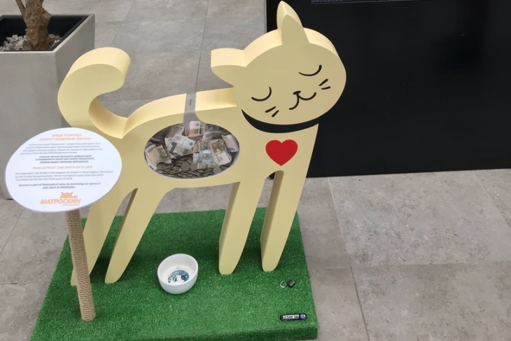 Копилка бездомному коту в пермском аэропорту за полгода собрала около 26 тысяч рублей