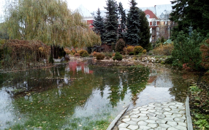 Сегодня утром из-за аварии на водопроводе в ПГНИУ был затоплен ботанический сад.