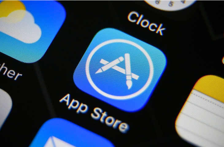 Магазин приложений Apple удалил сервис пермского избиркома