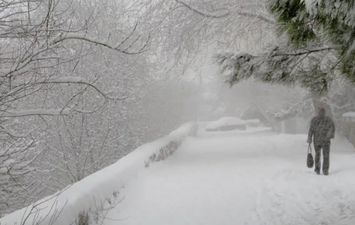 При прохождении циклона «Эльза» в Пермском крае ожидаются сильные снегопады