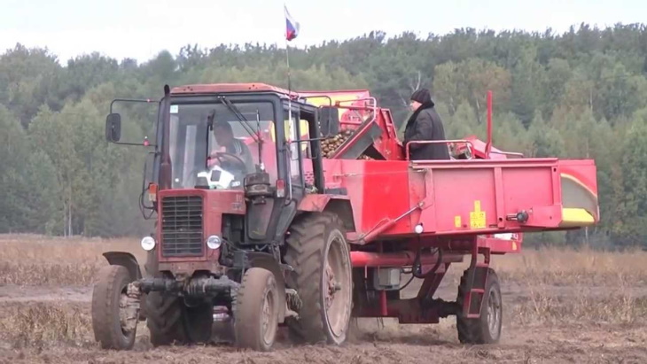 Из-за плохого лета фермеры потеряли до трети урожая