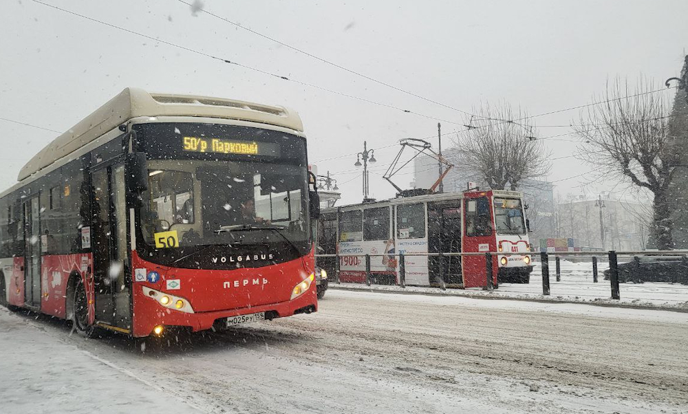 В Перми запуск автобусов с гармошкой позволит снизить дефицит водителей