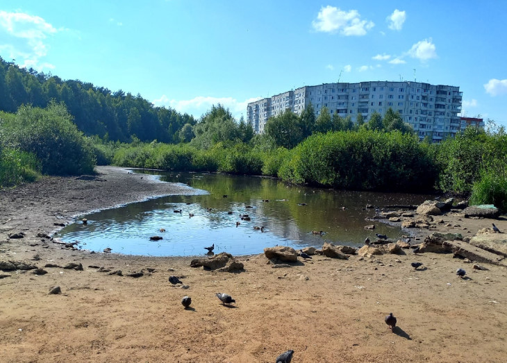 Утиное болото