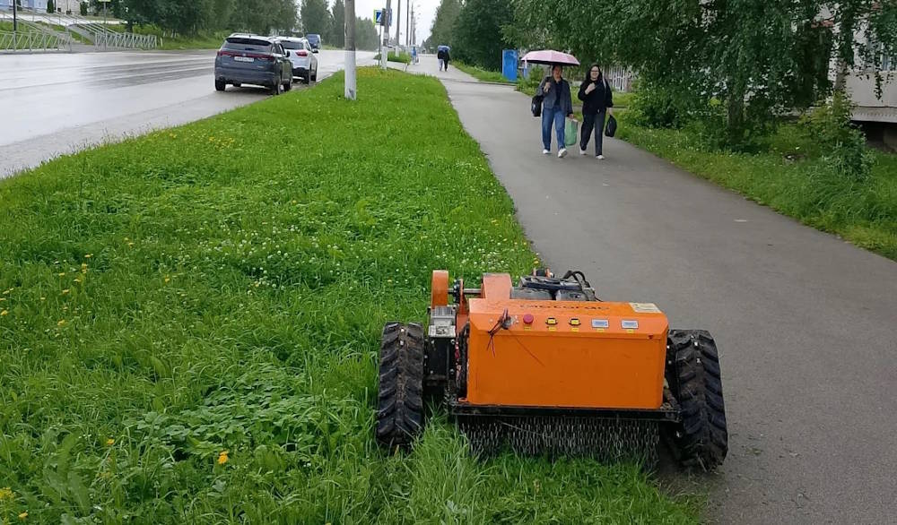 В Прикамье для борьбы с борщевиком применили тяжёлых роботов