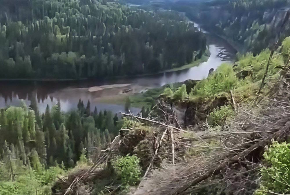 Природный парк «Пермский» пострадал от сильного ветра