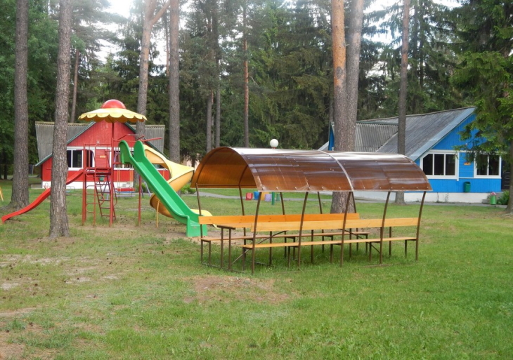 Вопрос об открытии летних лагерей в Прикамье вновь отложен