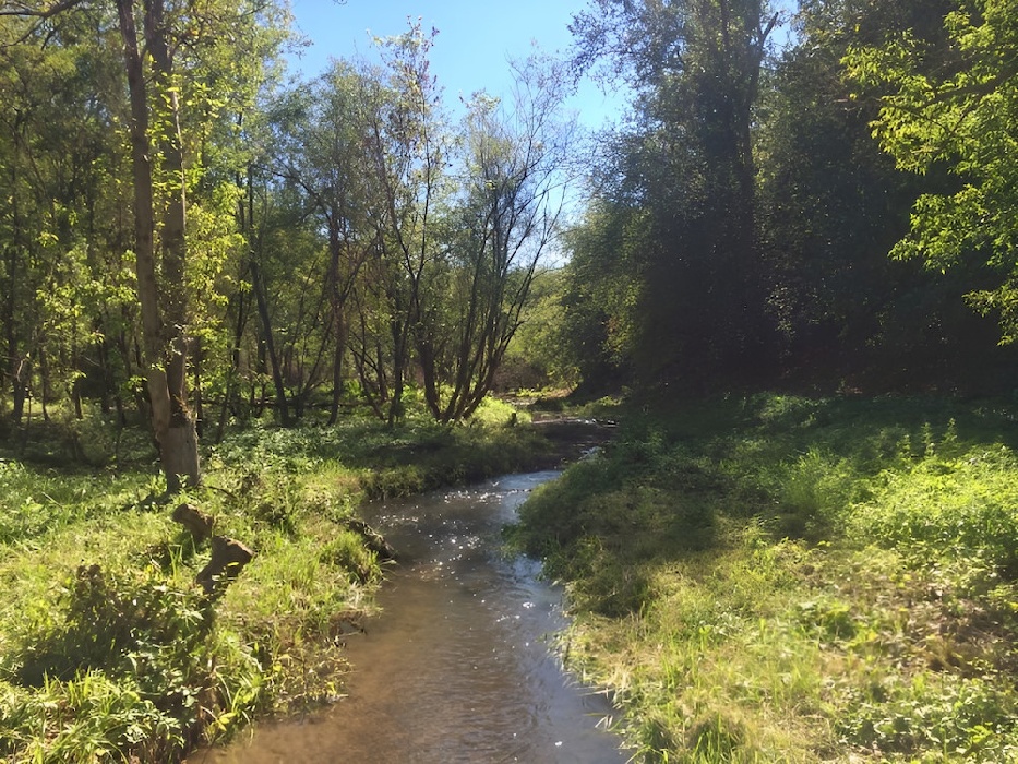 В долине реки Большая Мотовилиха установят охраняемую природную зону